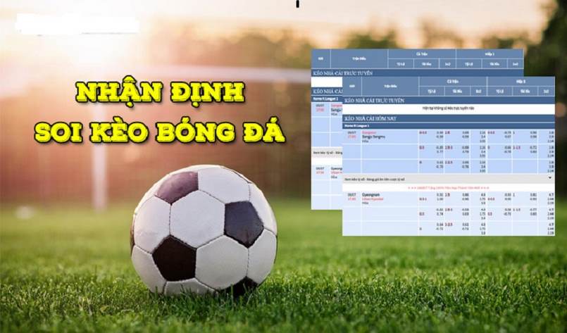 Hướng Dẫn Xem Kèo Bóng Đá - Cách Xem Tỷ Lệ Cá Cược 3 Một số lưu ý khi xem kèo bóng đá